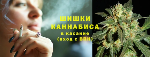 ГАЛЛЮЦИНОГЕННЫЕ ГРИБЫ Семёнов