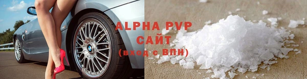 ГАЛЛЮЦИНОГЕННЫЕ ГРИБЫ Семёнов
