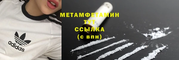 ГАЛЛЮЦИНОГЕННЫЕ ГРИБЫ Семёнов