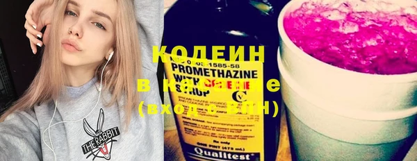 ГАЛЛЮЦИНОГЕННЫЕ ГРИБЫ Семёнов