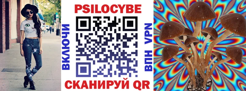 Псилоцибиновые грибы прущие грибы  гидра ссылка  даркнет клад  Углегорск 